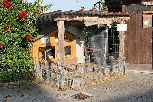 Der Streichelzoo lässt Kinderaugen leuchten