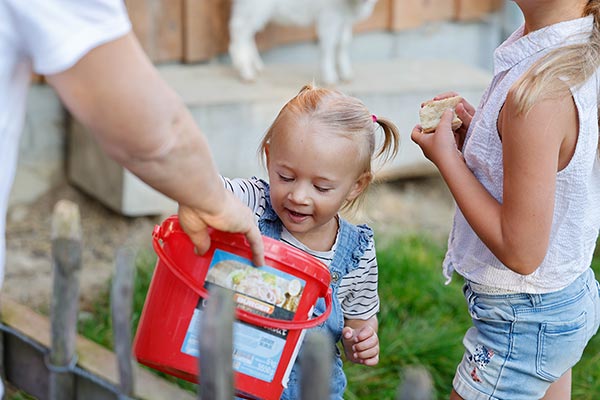 Fütterungszeit der Tiere