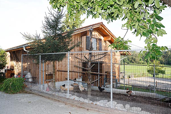 Vogelvoliere mit Hühnern und Fasanen