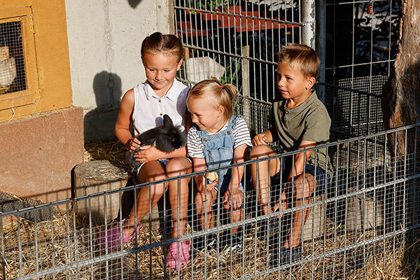 Kleintierzoo mit vielen Streicheltieren